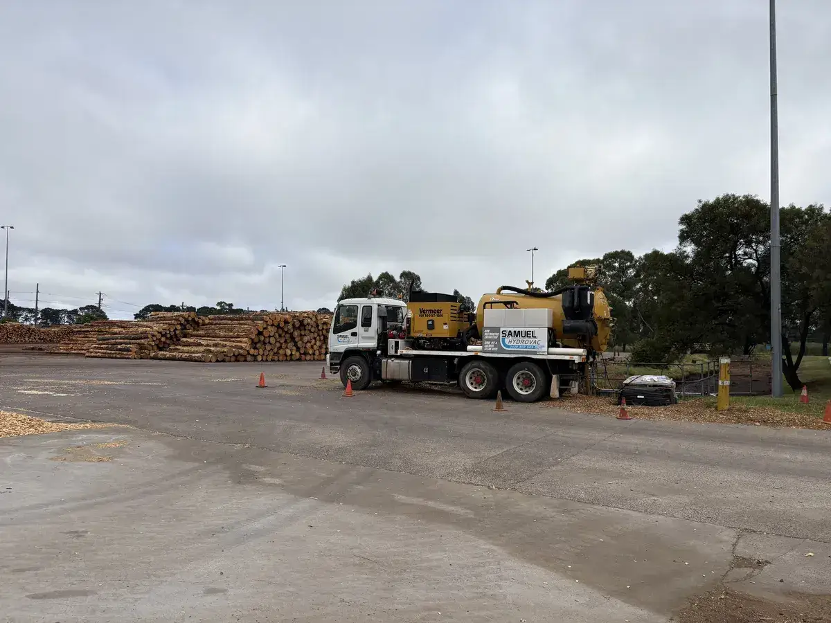 Timber Mills & Forestry